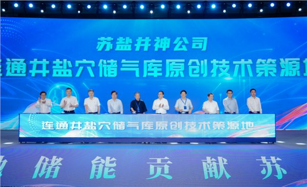 筑梦深地 原创策源丨苏盐集团举办盐矿深地储能成果发布暨学术研讨会